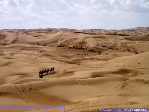 el desierto del Gobi