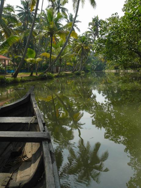 La vida acuática en Kerala