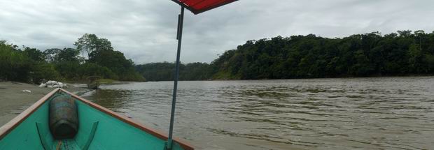 Río Napo hacia el Amazonas