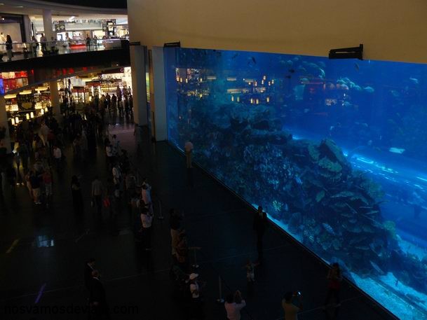 Acuario del Dubai Mall