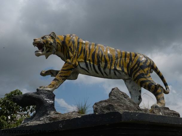 el tigre de Sumatra