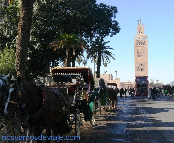 Carrozas en Marrakech
