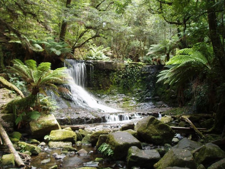 Cascada Russel en el parque Nacional del Monte Field